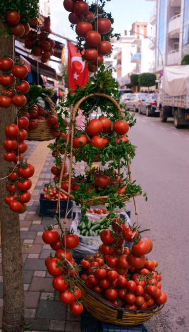 Tomate Italiano (kg)